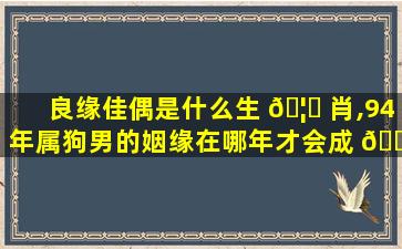 良缘佳偶是什么生 🦅 肖,94年属狗男的姻缘在哪年才会成 🐯 功